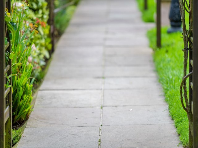 beautiful-shot-pathway-park-surrounded-by-grasses-flowers_181624-20486