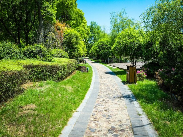 green-city-park_1127-3492